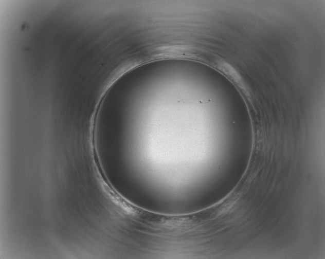 X0000071831386200606301307