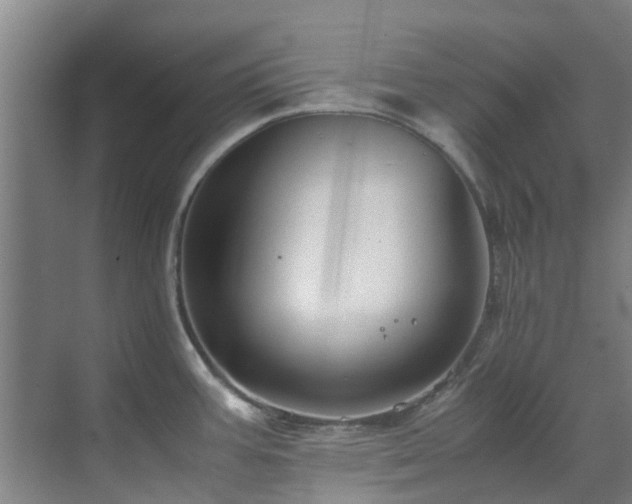 X0000071831387200606301307