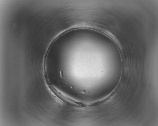 X0000071831388200606301307