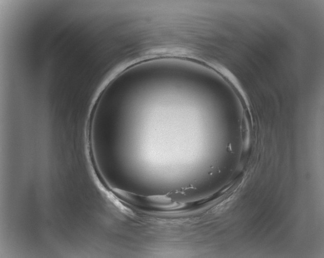 X0000071831389200606301307