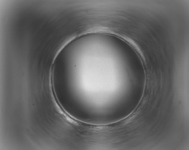 X0000071831390200606301307