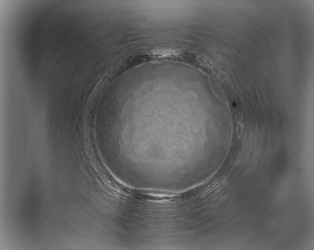 X0000071831393200606301306