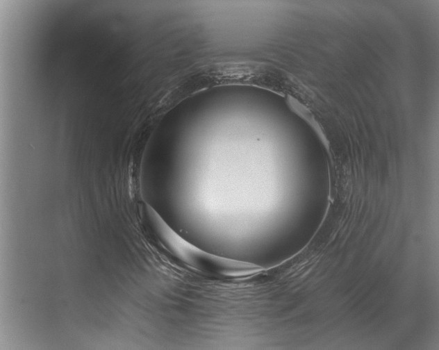 X0000071831394200606301306