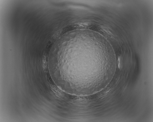 X0000071831395200606301306