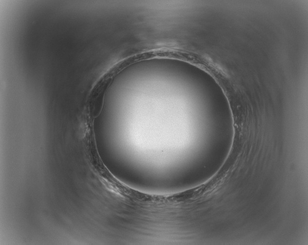 X0000071831400200606301307