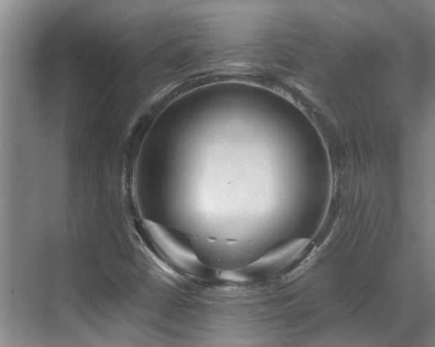 X0000071831402200606301307