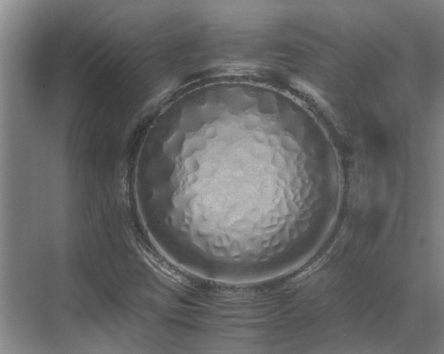 X0000071831403200606301307