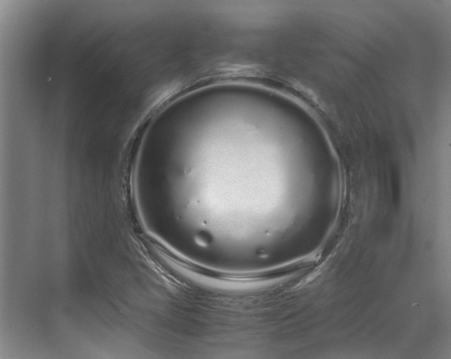 X0000071831405200606301307