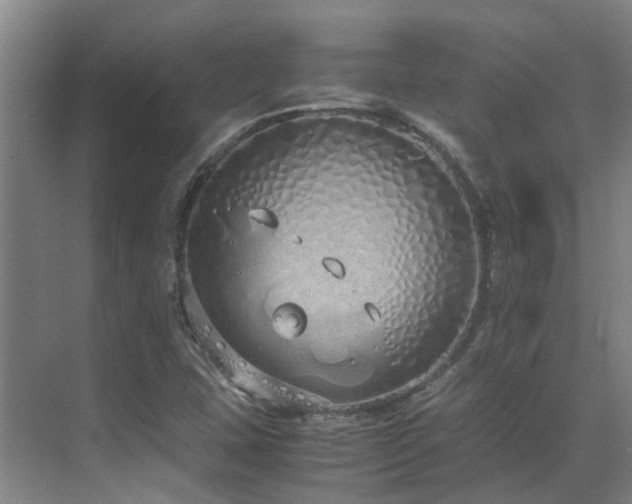 X0000071831407200606301307