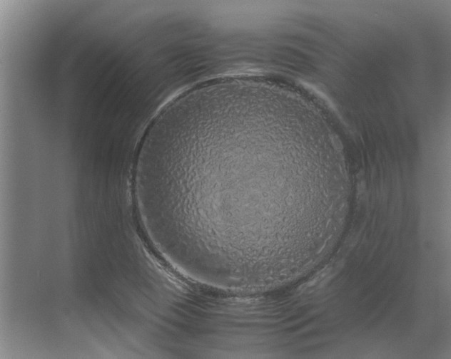 X0000071831409200606301307