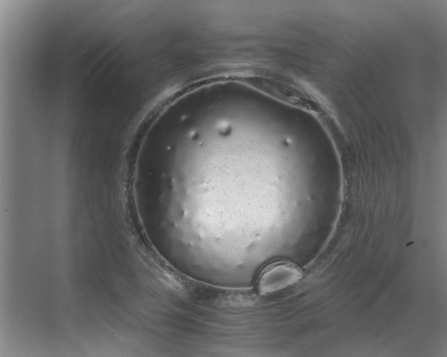 X0000071831411200606301307