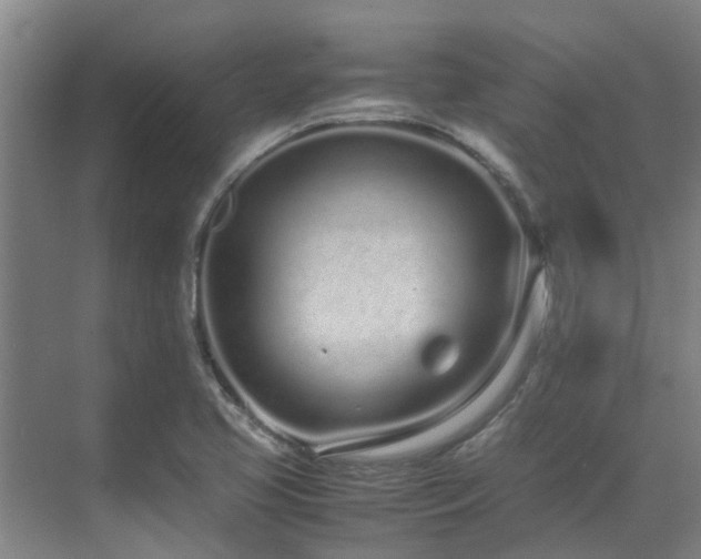 X0000071831413200606301307