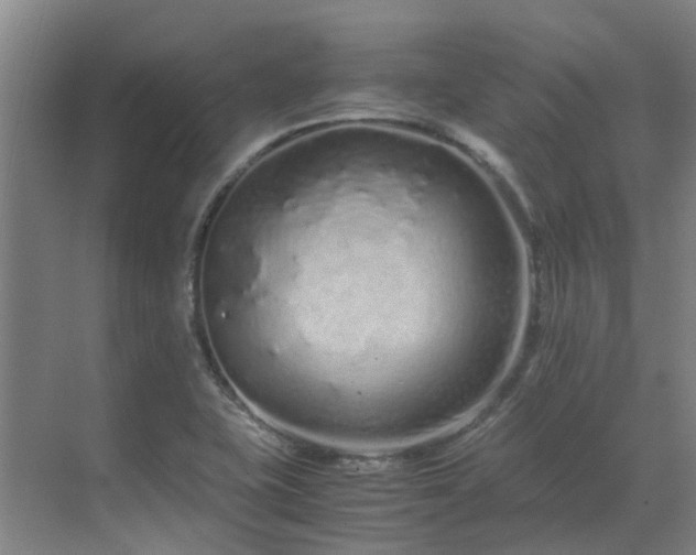 X0000071831415200606301307