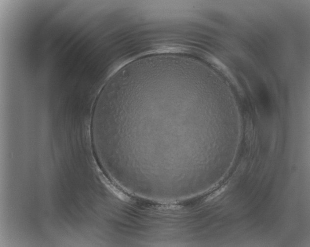 X0000071831417200606301307