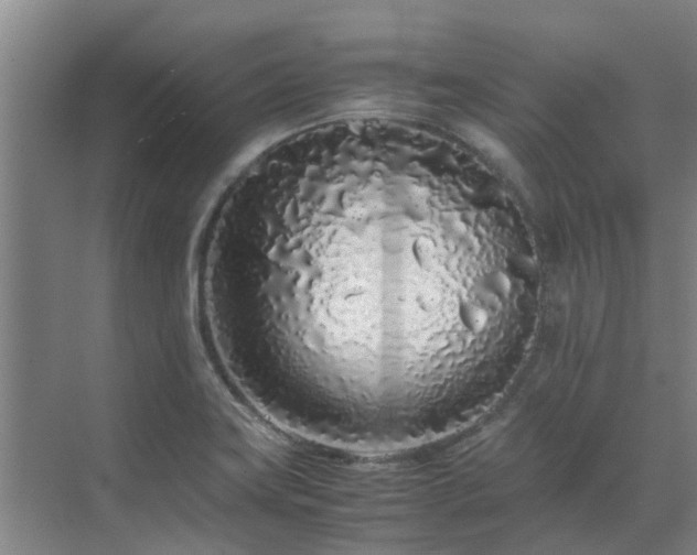 X0000071831419200606301307