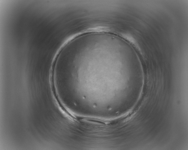 X0000071831421200606301307