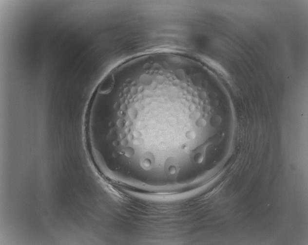 X0000071831423200606301307