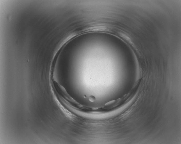 X0000071831426200606301307