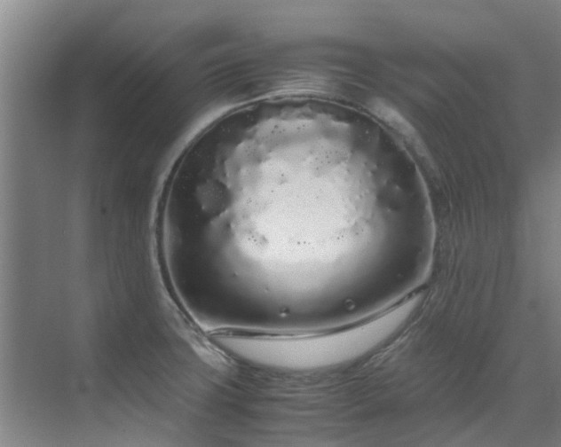 X0000071831427200606301307