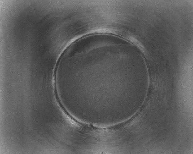 X0000071831428200606301307