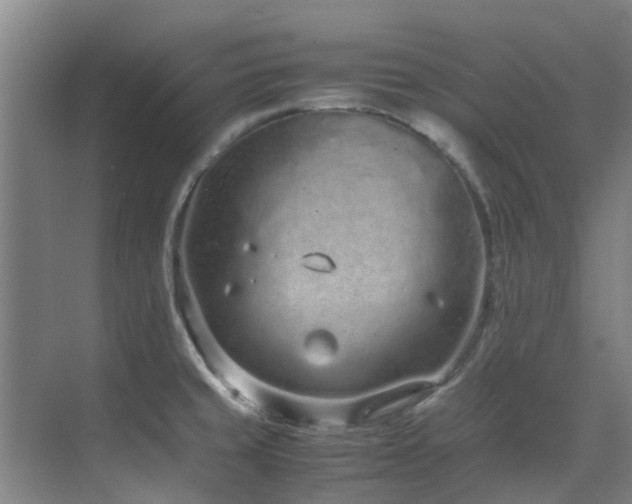 X0000071831429200606301307