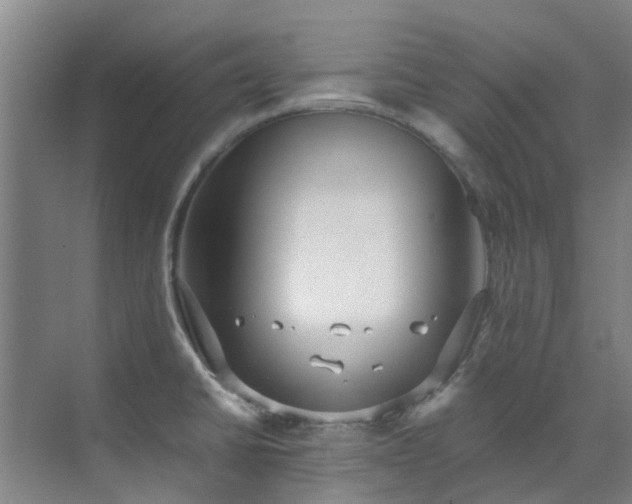 X0000071831430200606301307