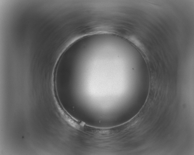 X0000071831431200606301307