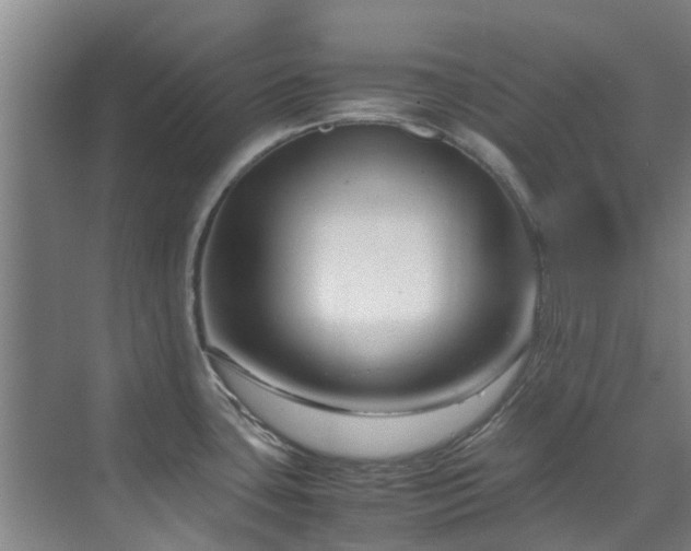 X0000071831435200606301307