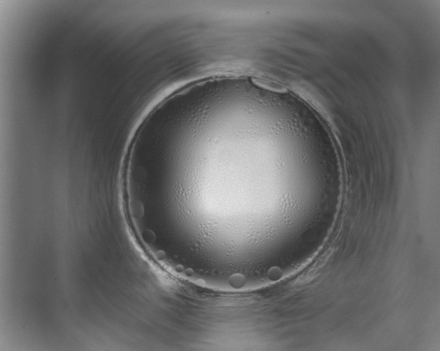 X0000071831440200606301307