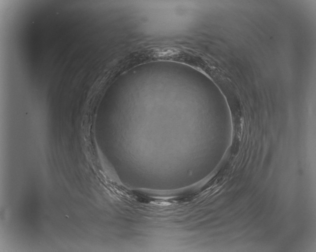 X0000071831441200606301306