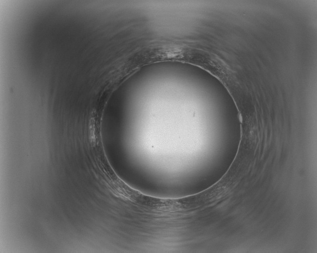 X0000071831442200606301306