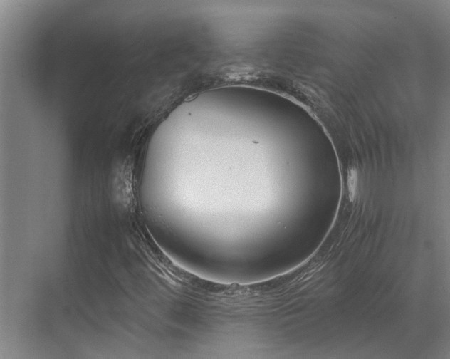 X0000071831444200606301306