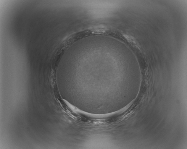 X0000071831445200606301306