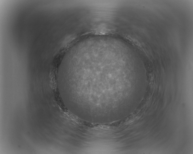 X0000071831446200606301306