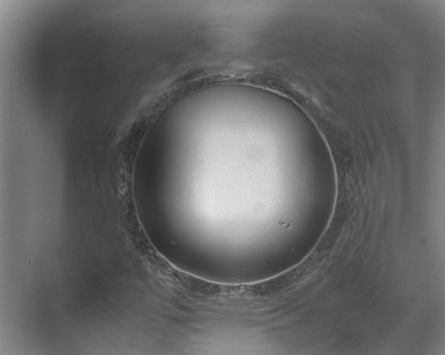 X0000071831447200606301306