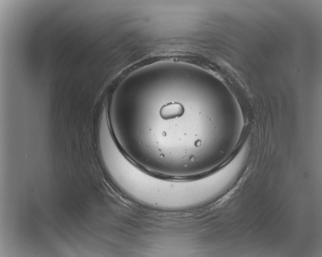 X0000071831449200606301306