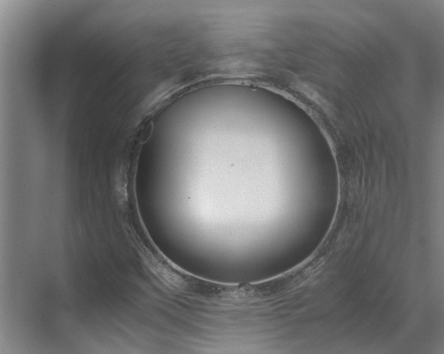 X0000071831451200606301306