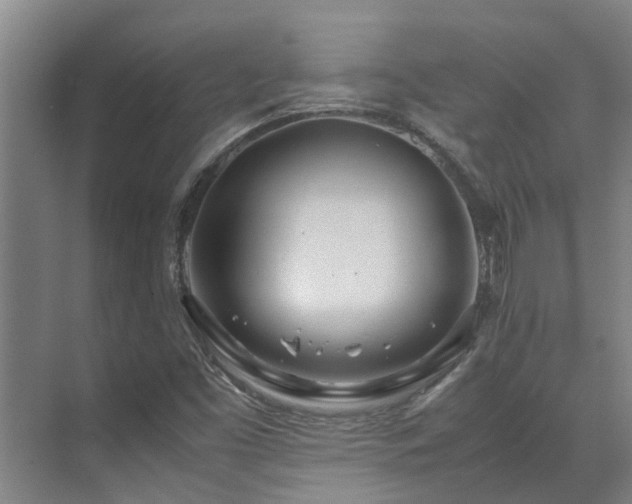 X0000071831453200606301306