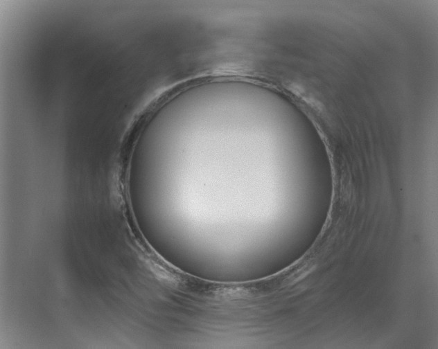 X0000071831454200606301306