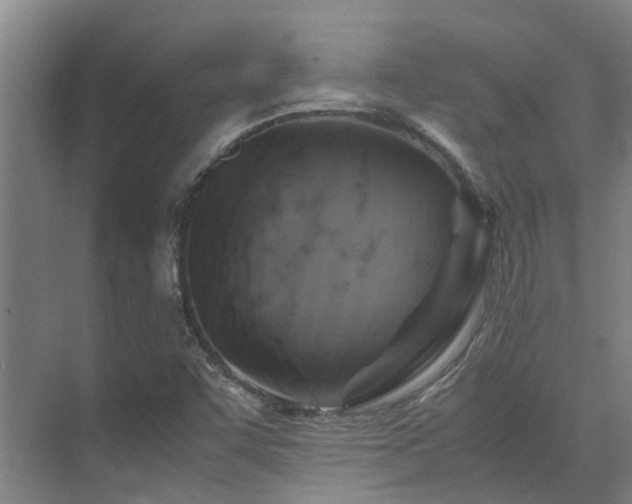 X0000071831455200606301306