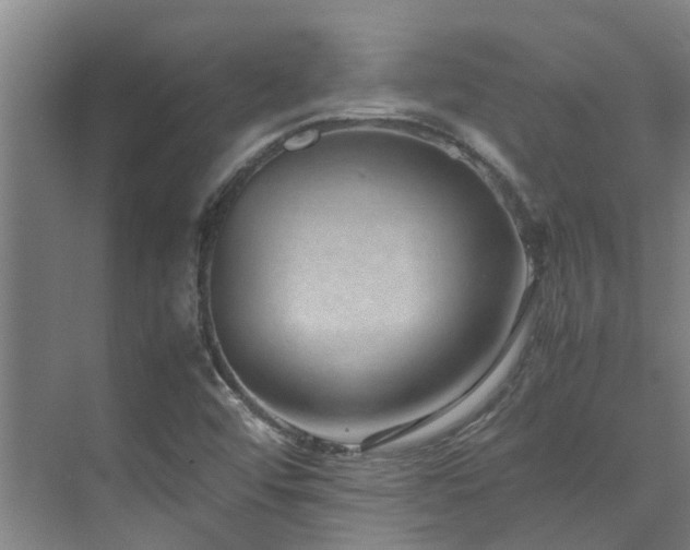 X0000071831456200606301306