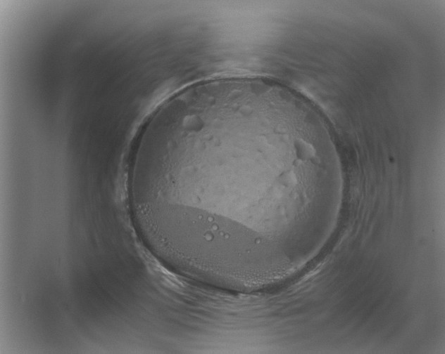 X0000071831459200606301306