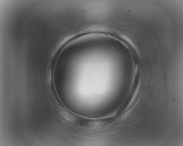 X0000071831461200606301306