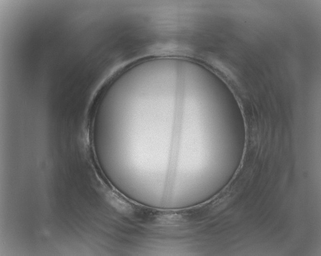 X0000071831462200606301306