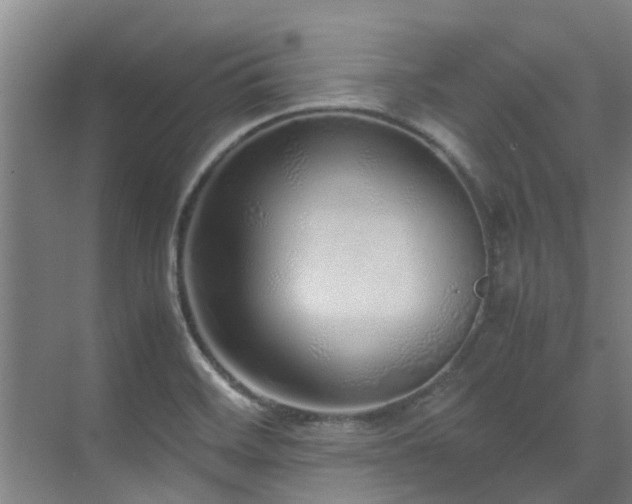 X0000071831468200606301306