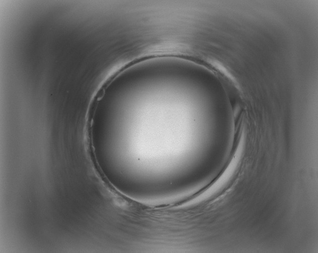 X0000071831469200606301306