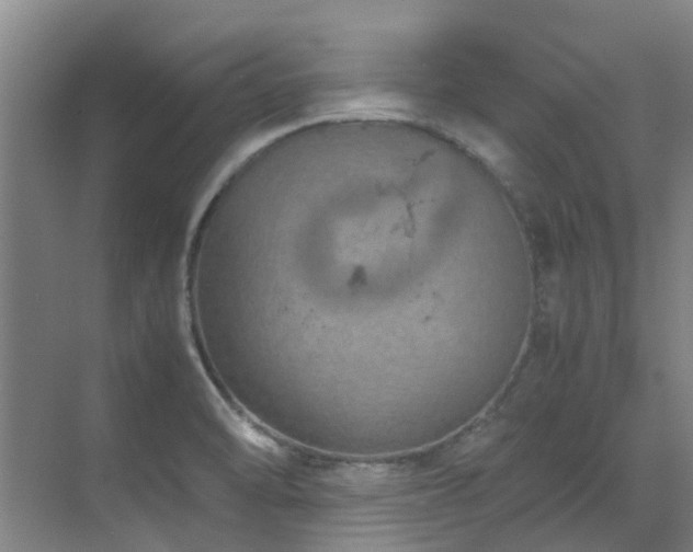 X0000071831470200606301306