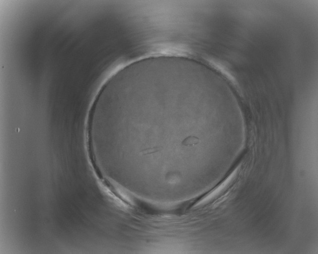 X0000071831471200606301306