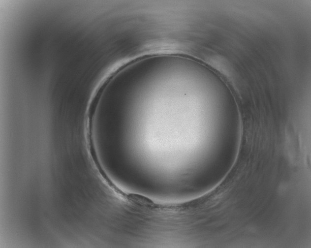 X0000071831472200606301306