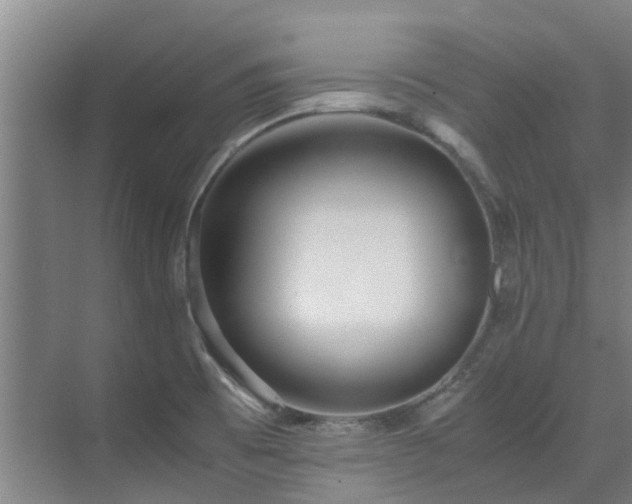 X0000071831473200606301306